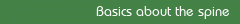 Basics about the spine