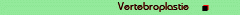 Vertebroplastie